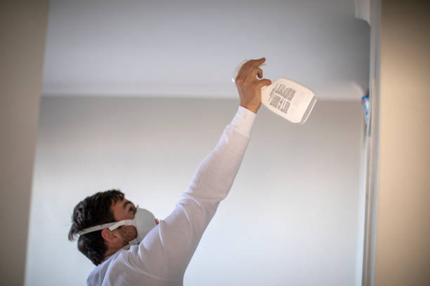Best Preventive Mold Services in South Wallins, KY