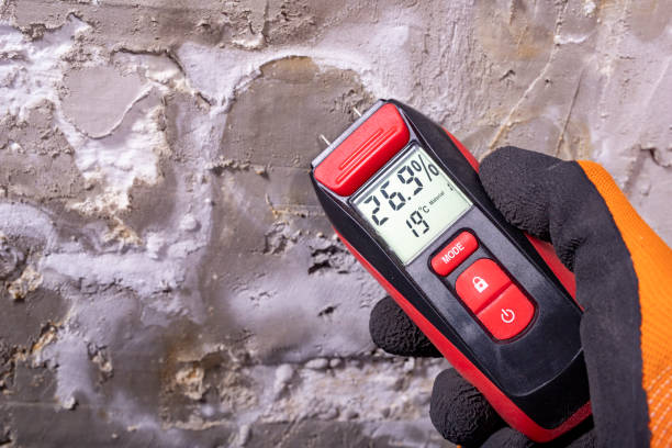 Best Mold Remediation for Specific Building Types in South Wallins, KY